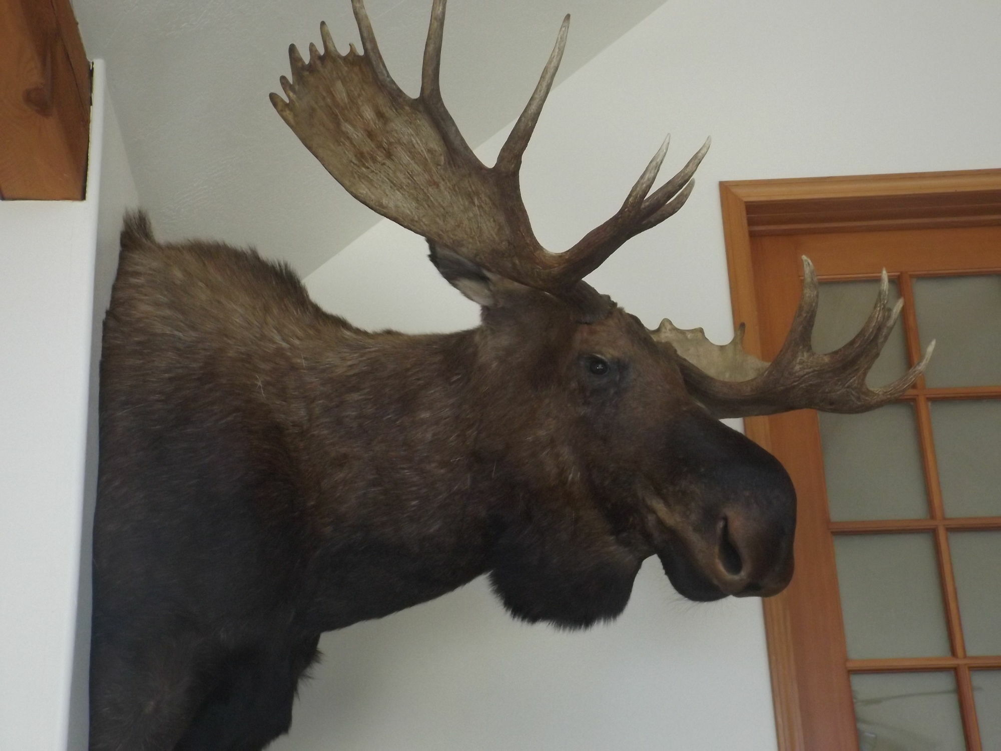 Clark Fork Lodge 외부 사진